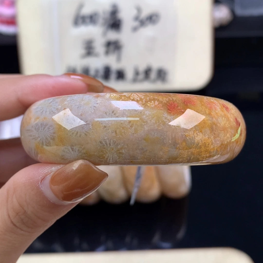 硅化珊瑚（珊瑚玉）未镶嵌颈饰精美手镯五折54口（18号）