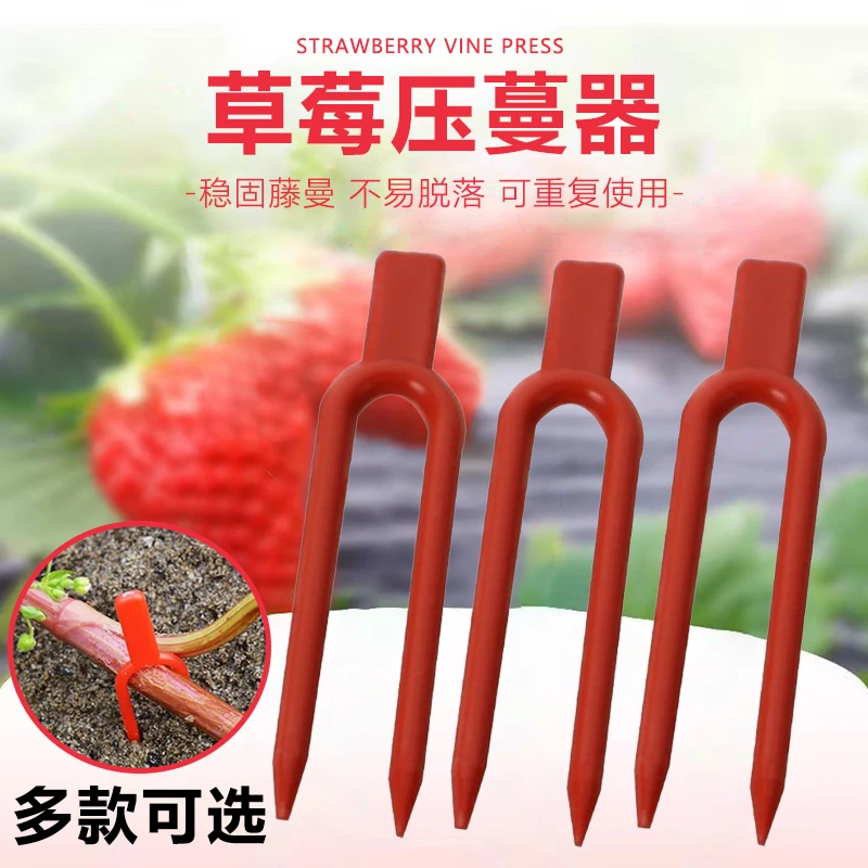 草莓育苗叉秧苗卡子叉子藤蔓塑料农用固定器瓜苗生根压蔓器草莓叉