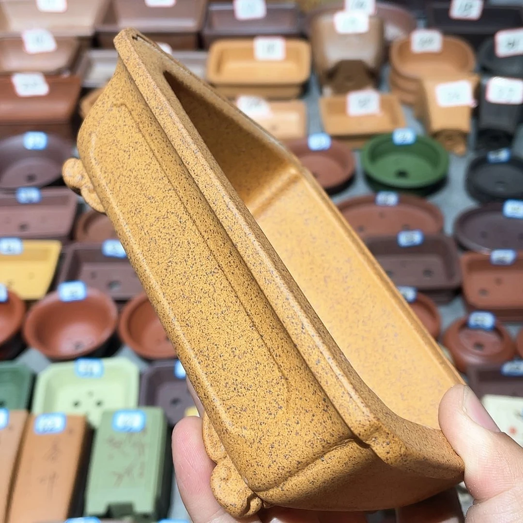 紫砂小盆14*10*3.3cmmmmm