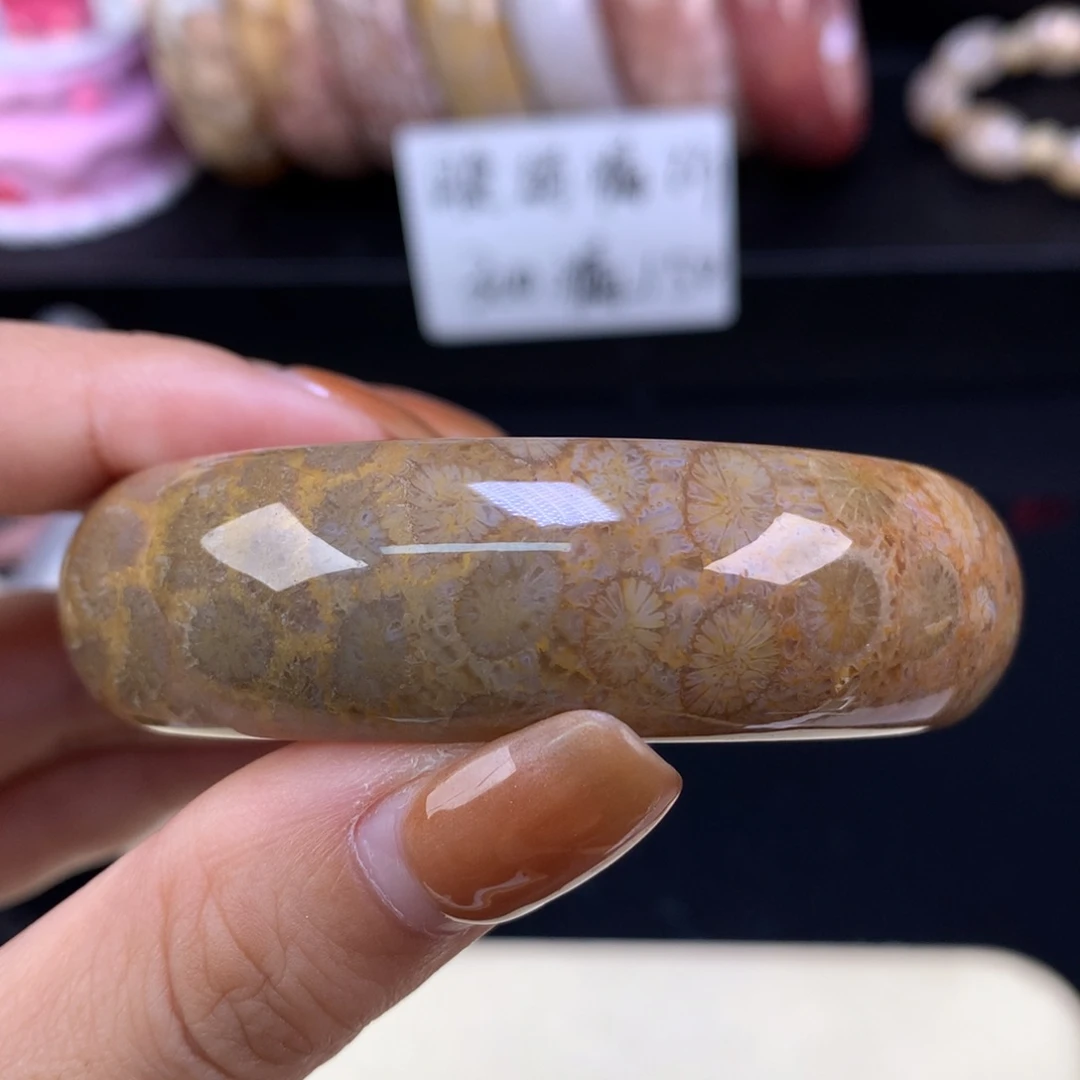 硅化珊瑚（珊瑚玉）未镶嵌颈饰晚场漏价五折52.7口（3号）