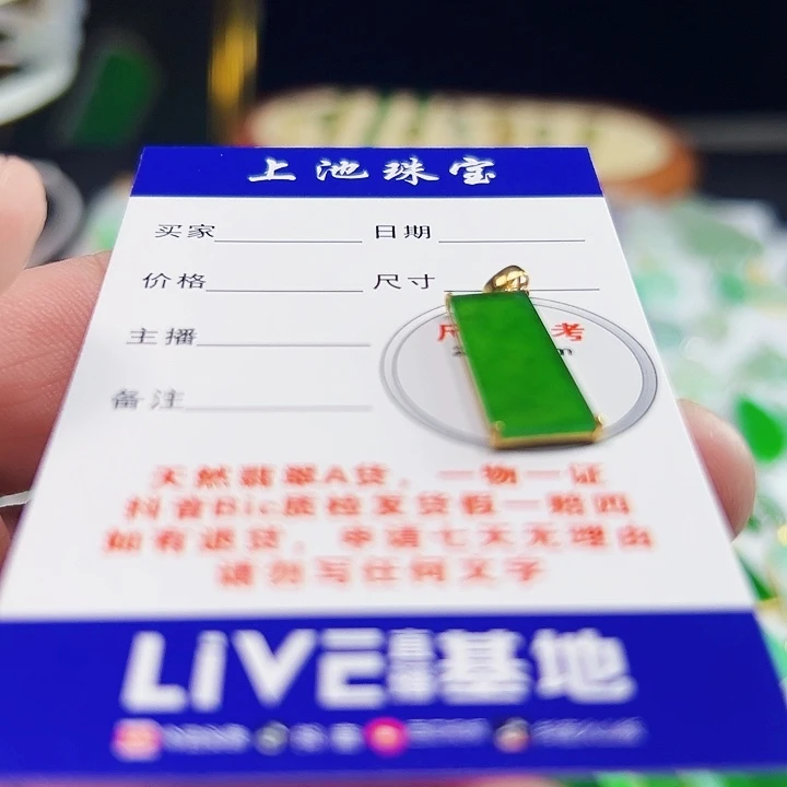 颈饰18K金镶嵌翡翠兽*翡翠
