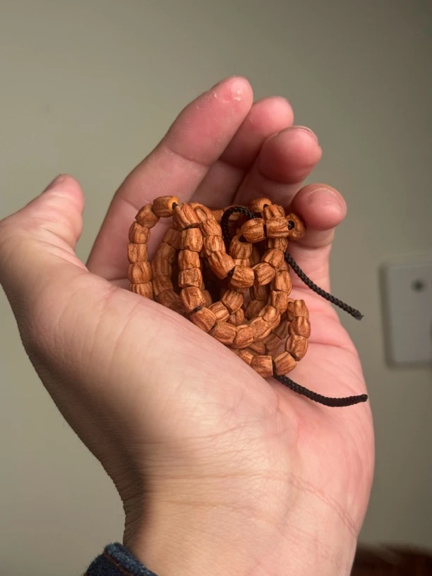 热振柏香籽老树红皮大肠