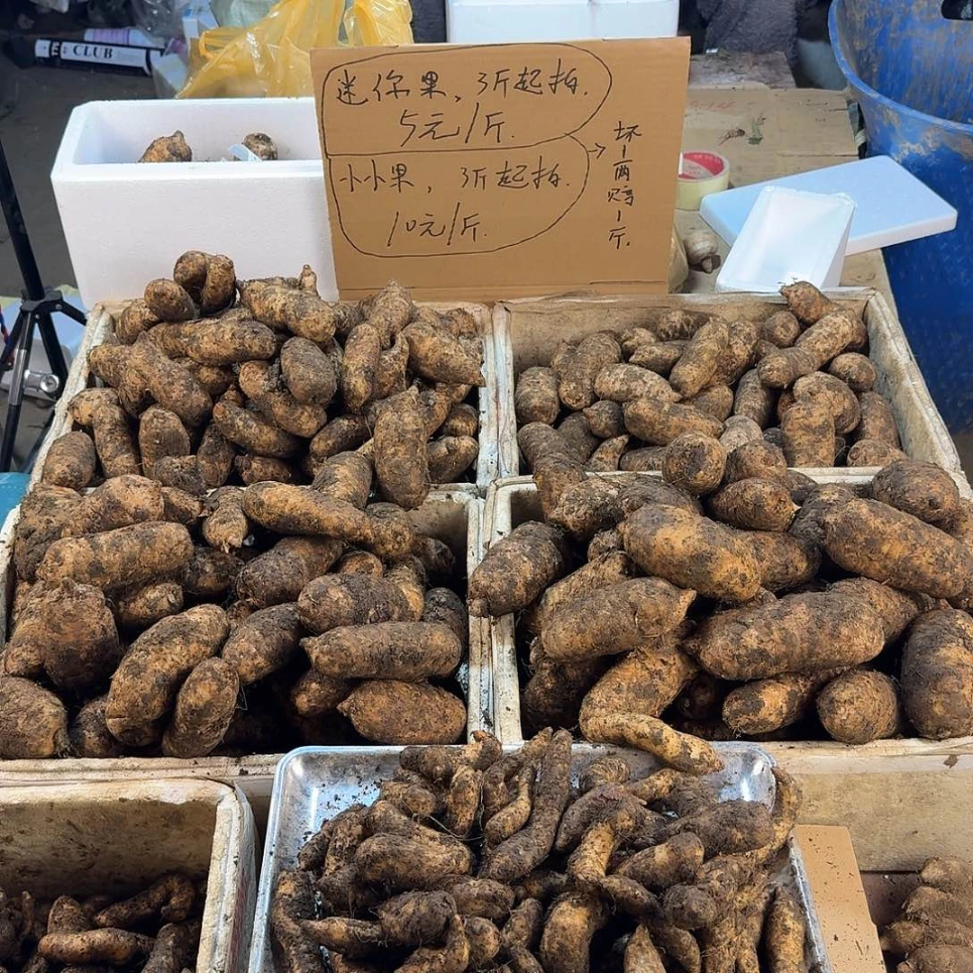 两***星中国大陆迷你3斤福利