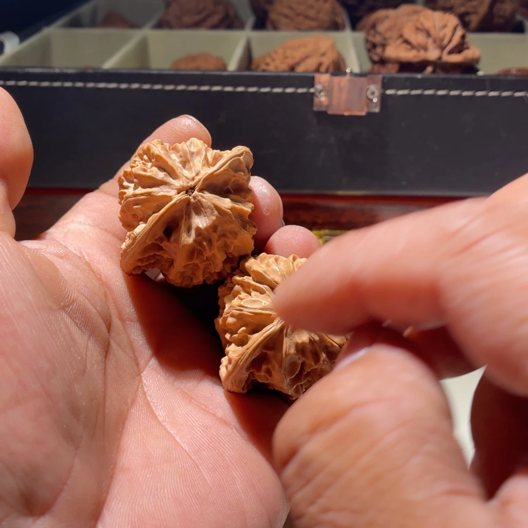 文玩核桃把件?山地虎