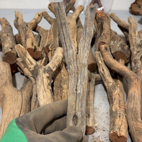 大果紫檀（缅甸花梨）紫****）