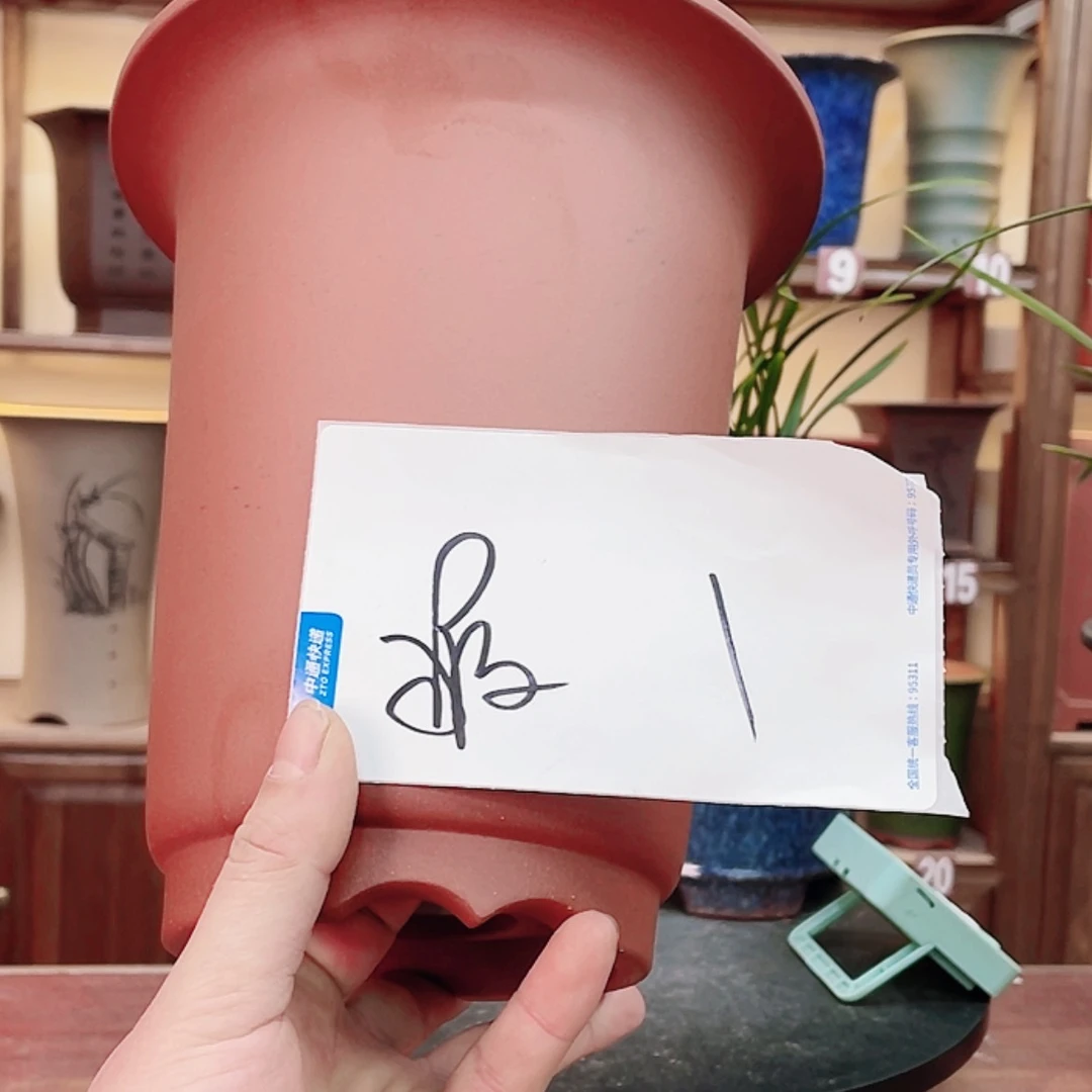 【闪购商品】紫砂花盆米*?兰花742555855578555555