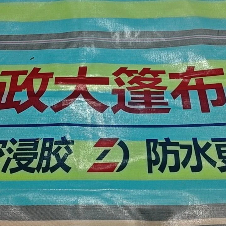 绒质6666666666666666666666666666666666