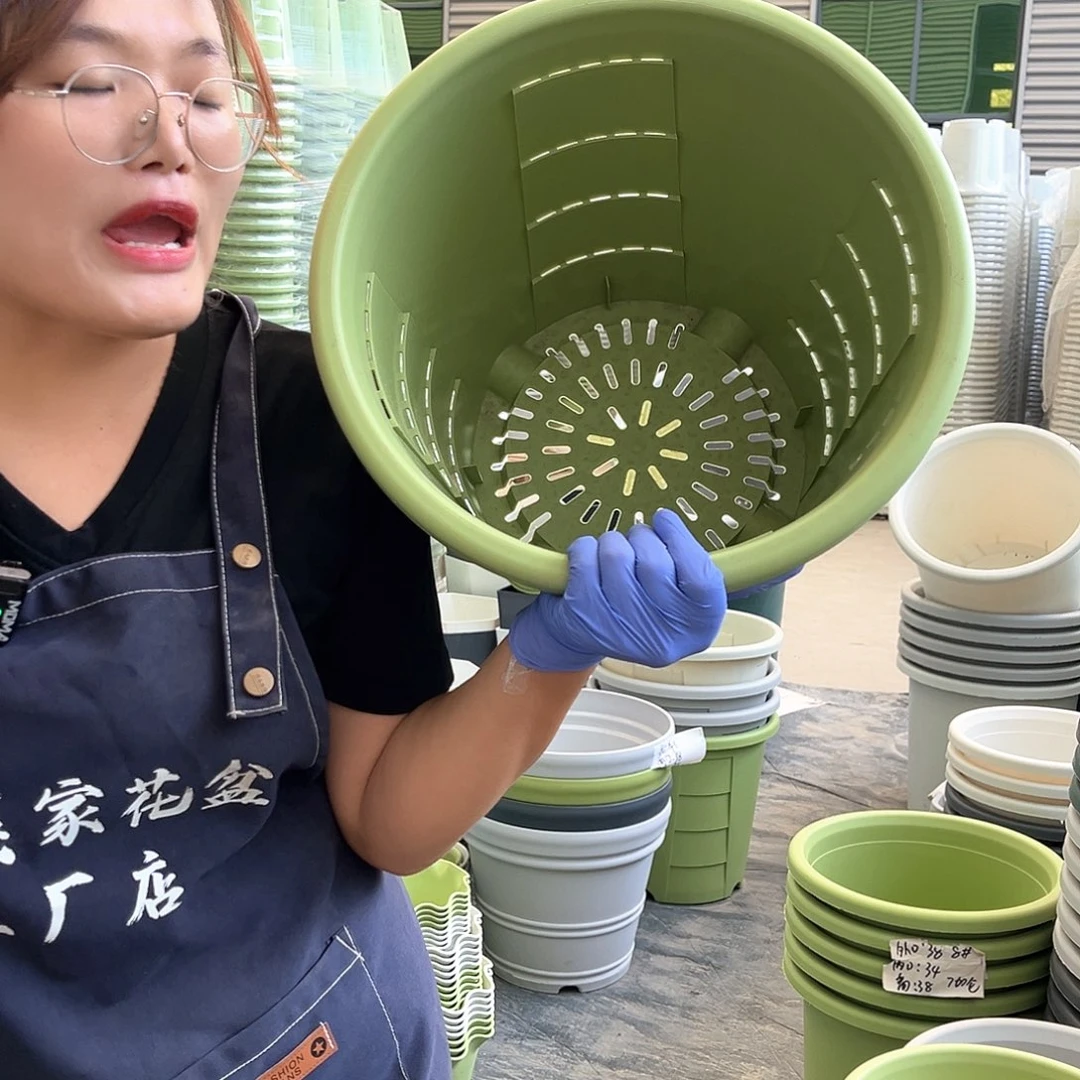 玫瑰盆370果绿色4个无托