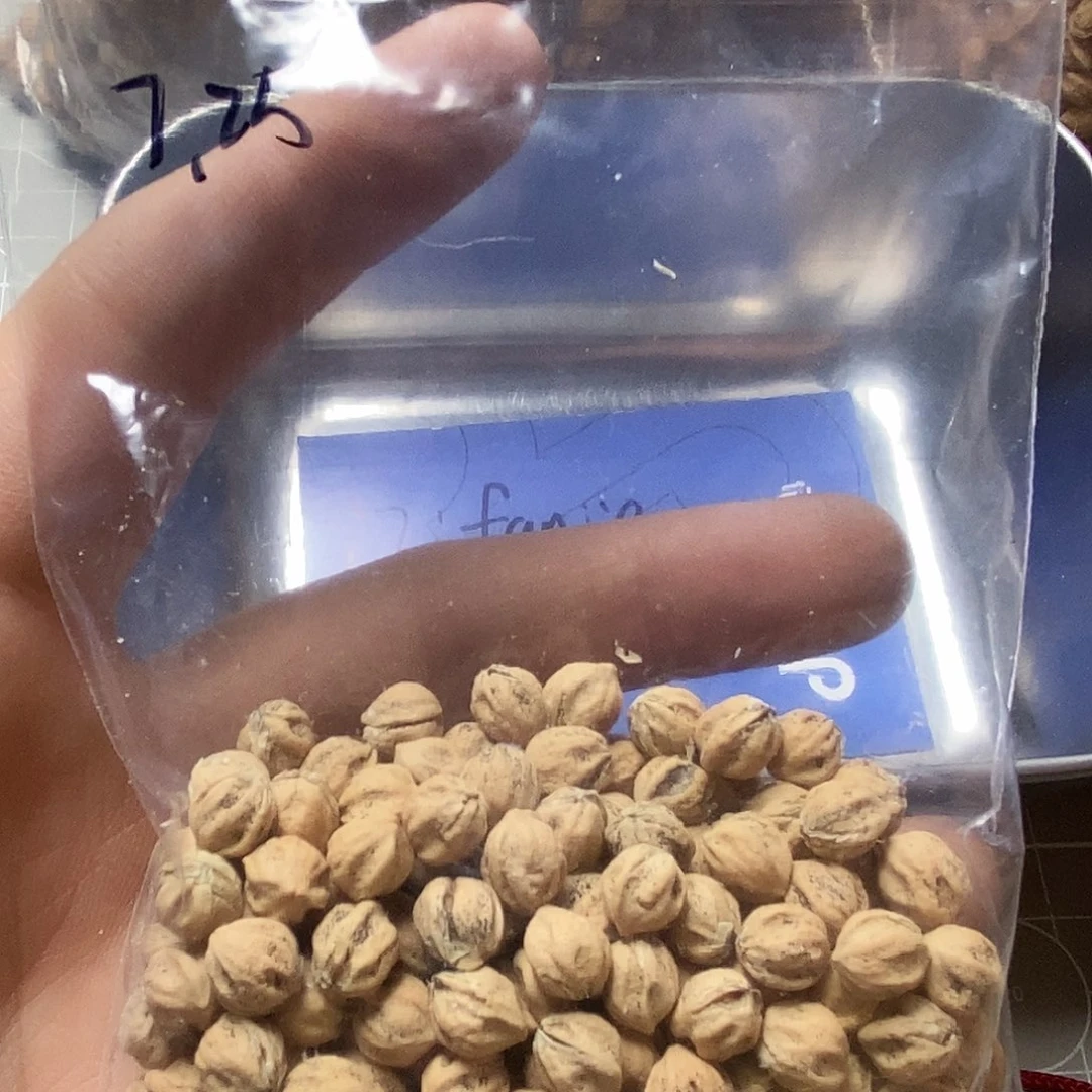 柏香籽/百香籽吊坠