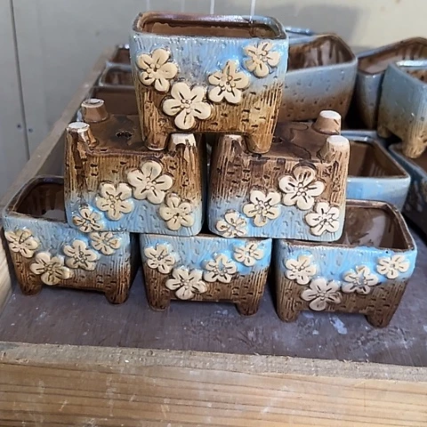 6个····全是福利····