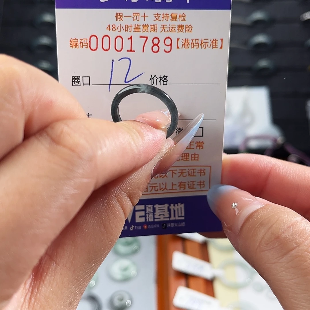 翡翠未镶嵌戒指1789