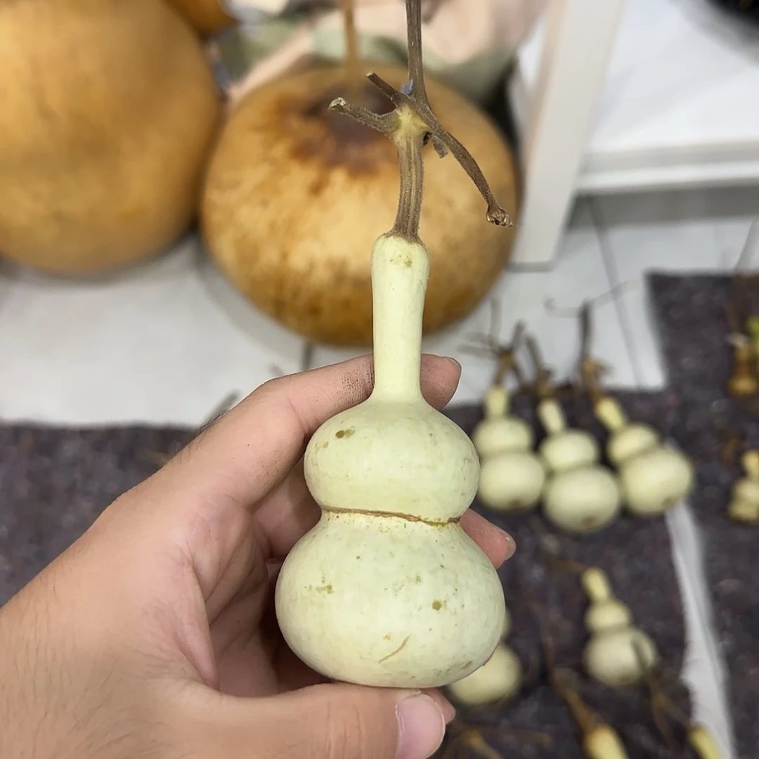 0***室葫芦nssjsjsjsjsjsnsnsnsns