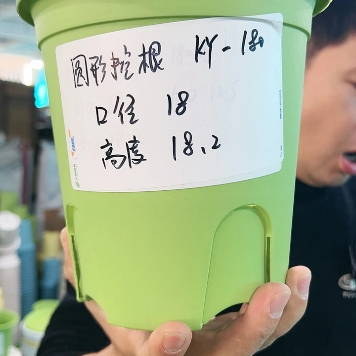 正品圆控口18高18果绿色8个无托
