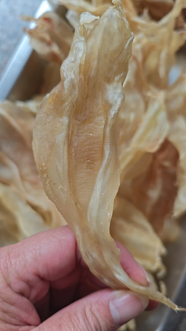 【楚燕滋䃼】北海公胶 鱼胶 孕妇月子妈妈佳选滋补 备孕 产后