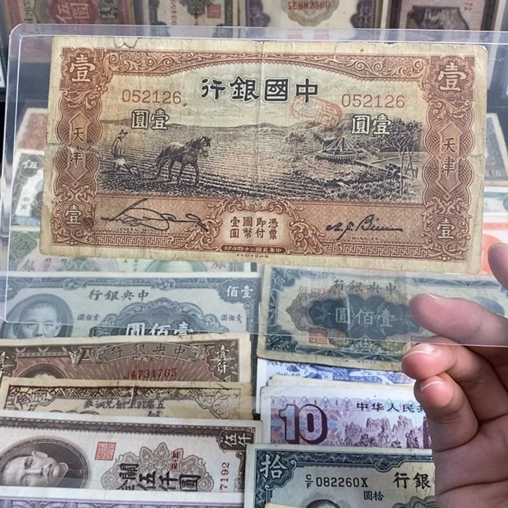指定。