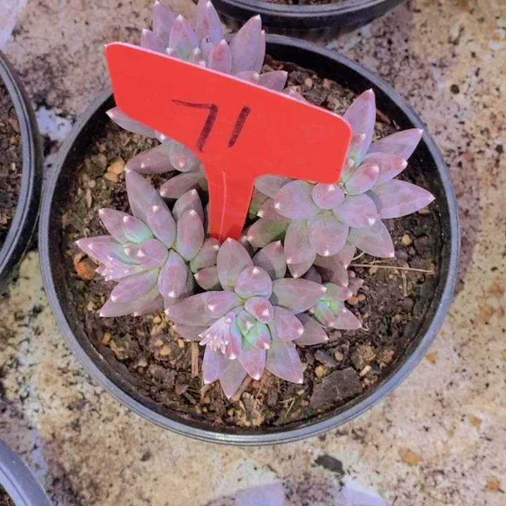 我们还不一定在学校