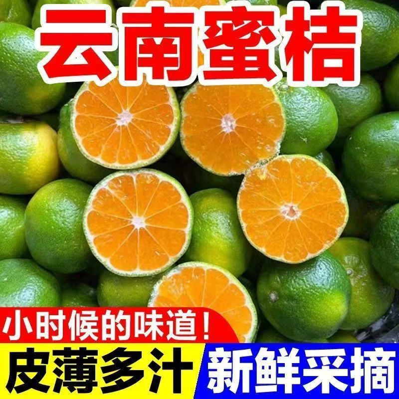 【顺丰包邮】现摘云南省昆明青皮蜜桔无籽青提新鲜应季水果皮薄肉厚酸甜多汁果香味浓郁云南省