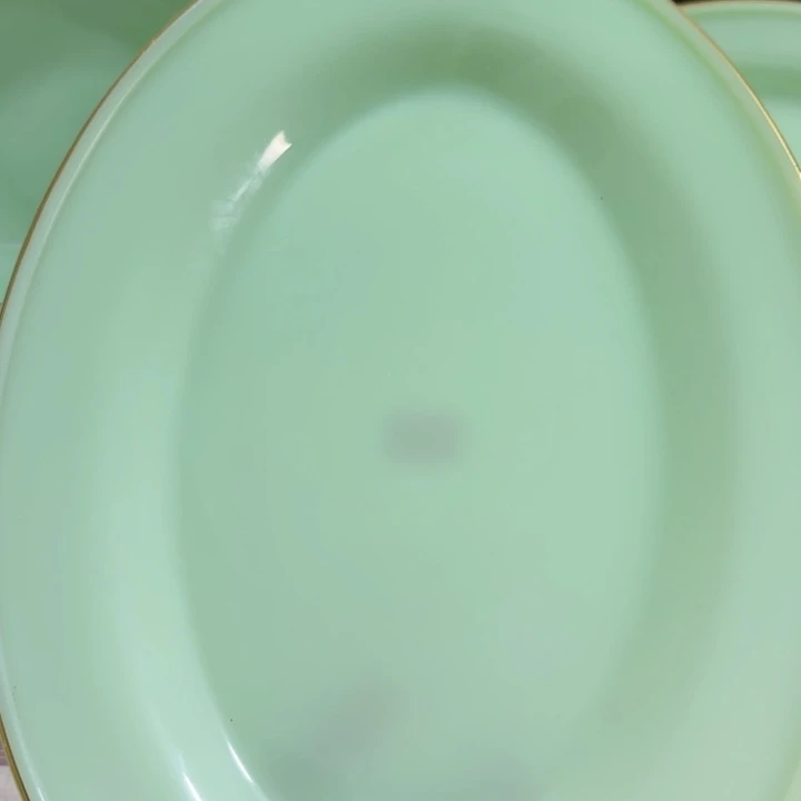 瓷景德镇陶瓷12寸鱼盘1个