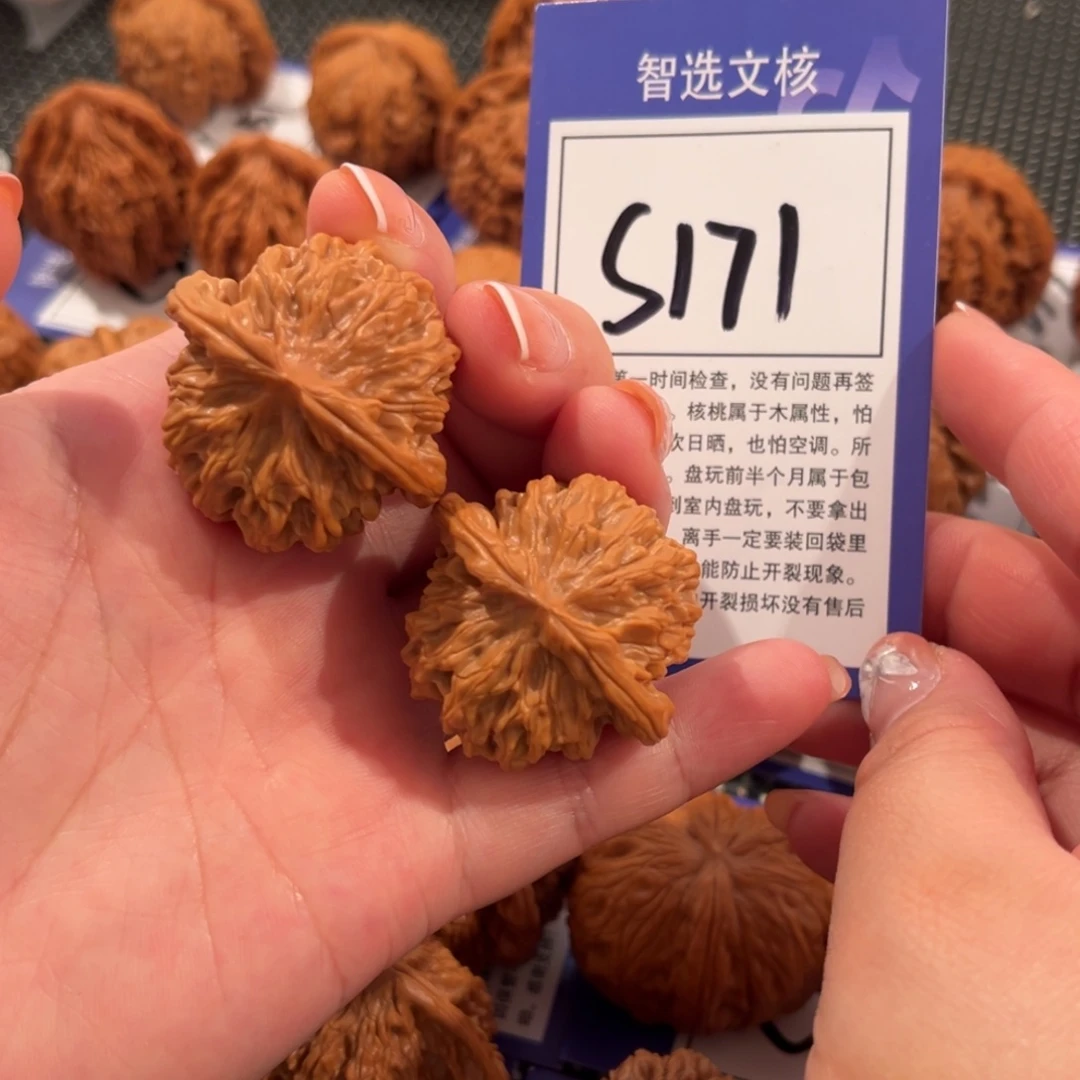 核桃S171号秦闷36尺