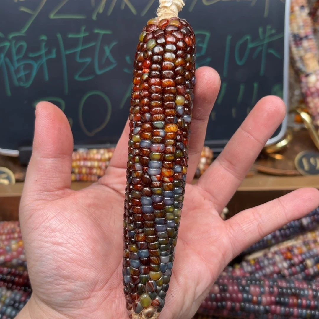 柏香籽/百香籽吊坠遗*