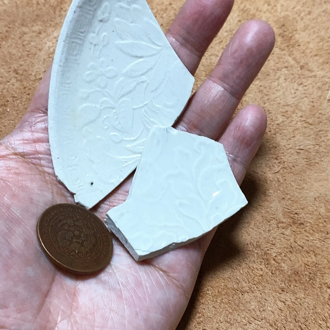 铁精美瓷器学习标本