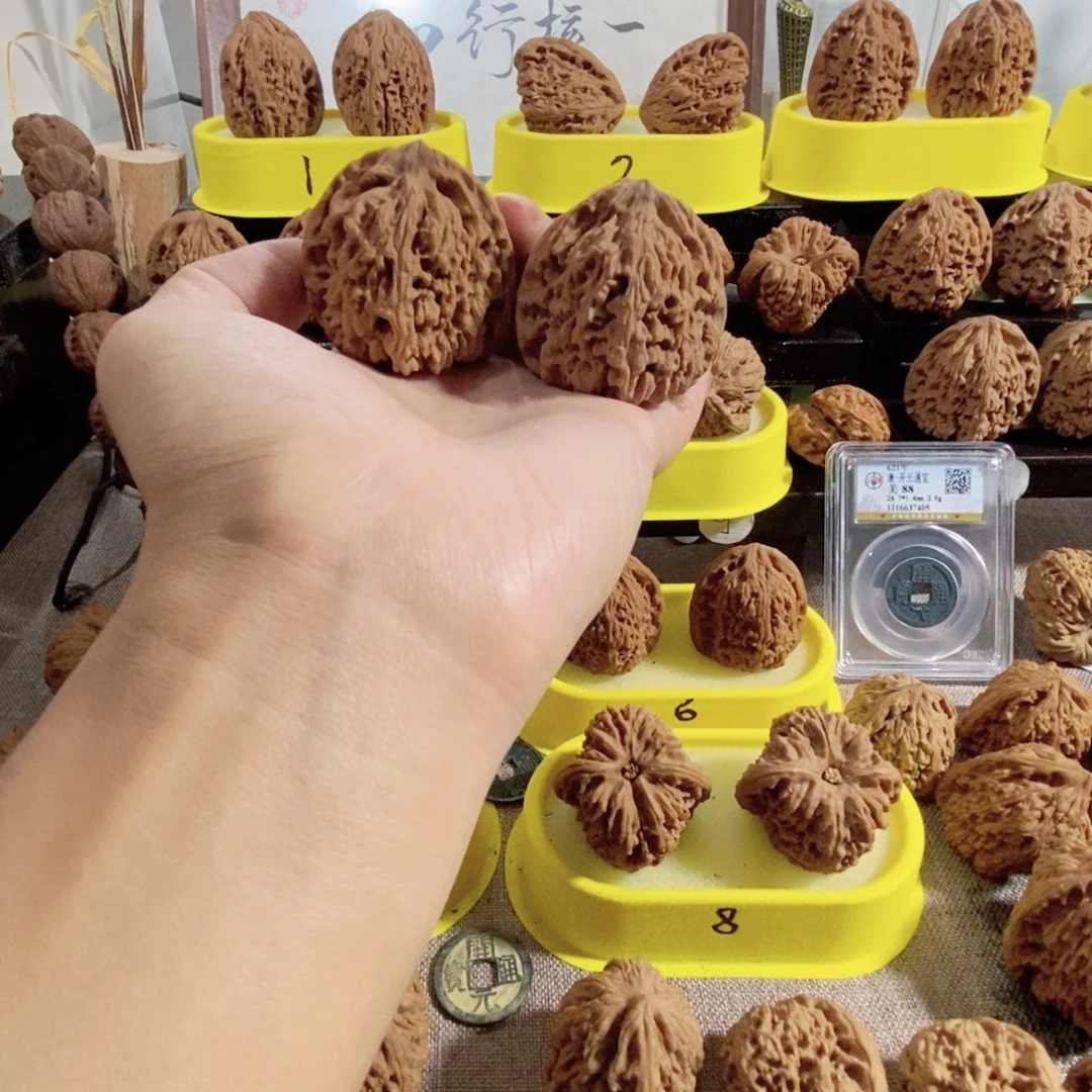 木质类一代高桩45尺56克