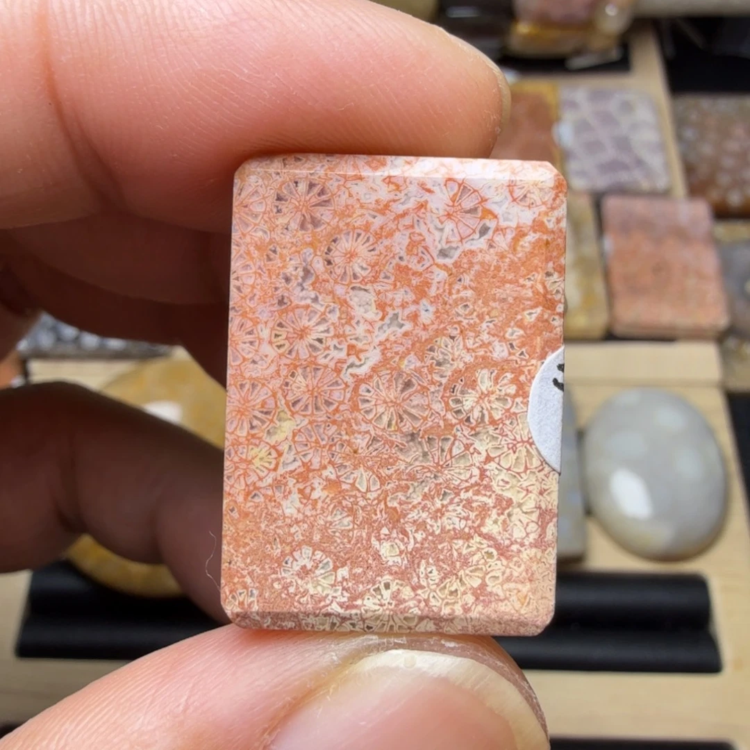 硅化玉未镶嵌纯天然色有机玉石保真色