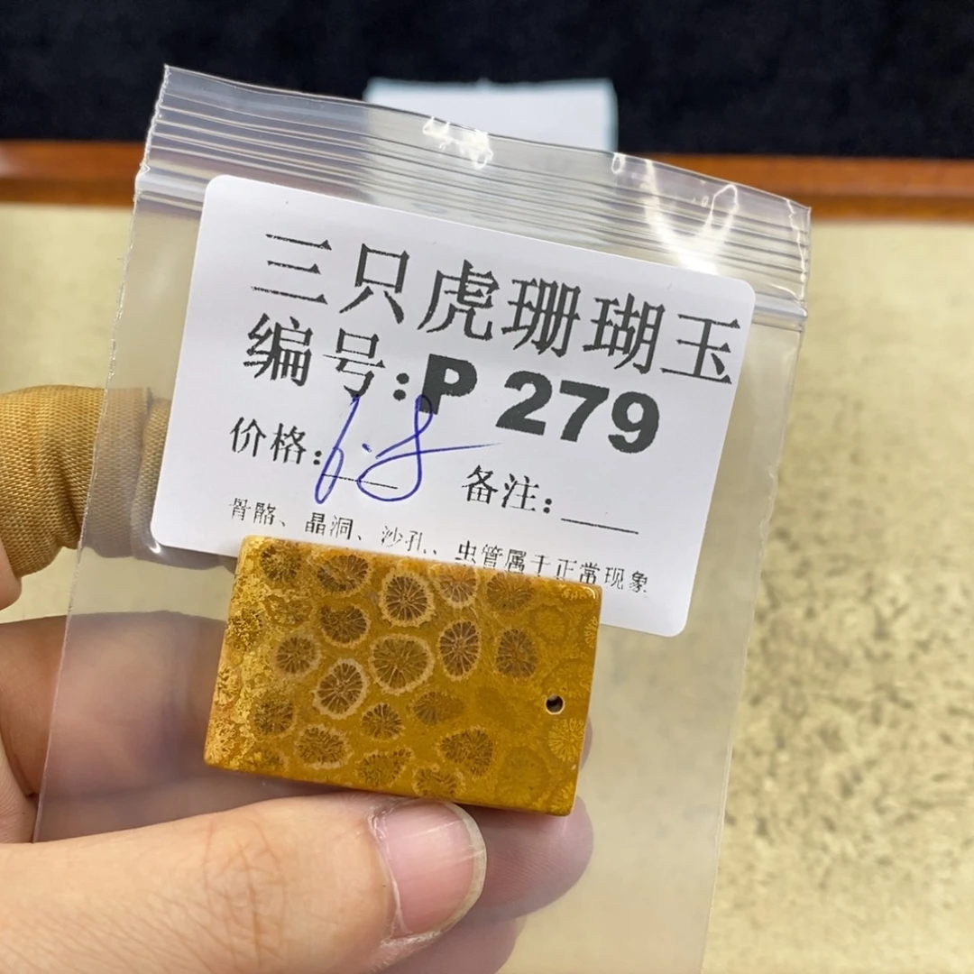 硅化珊瑚（珊瑚玉）1未镶嵌黑*