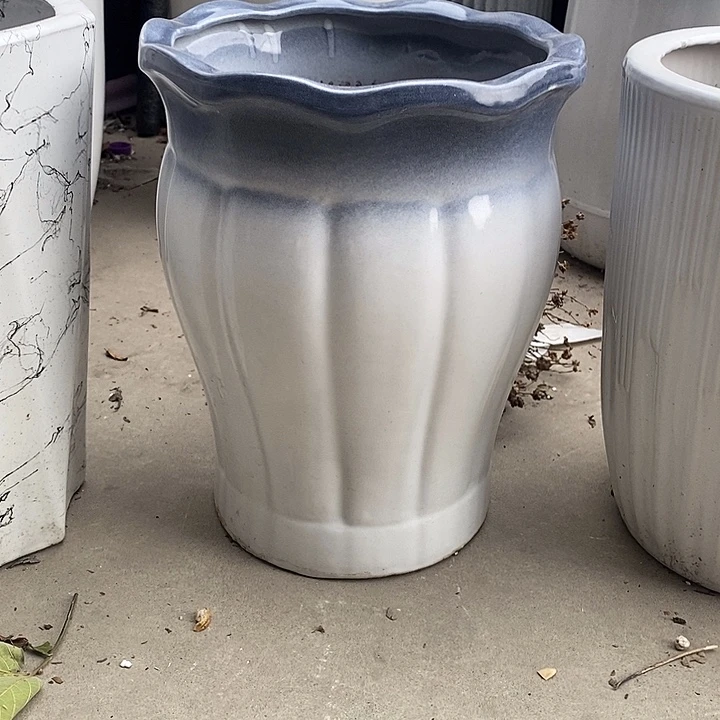 渐变灰南瓜中口25高32福利