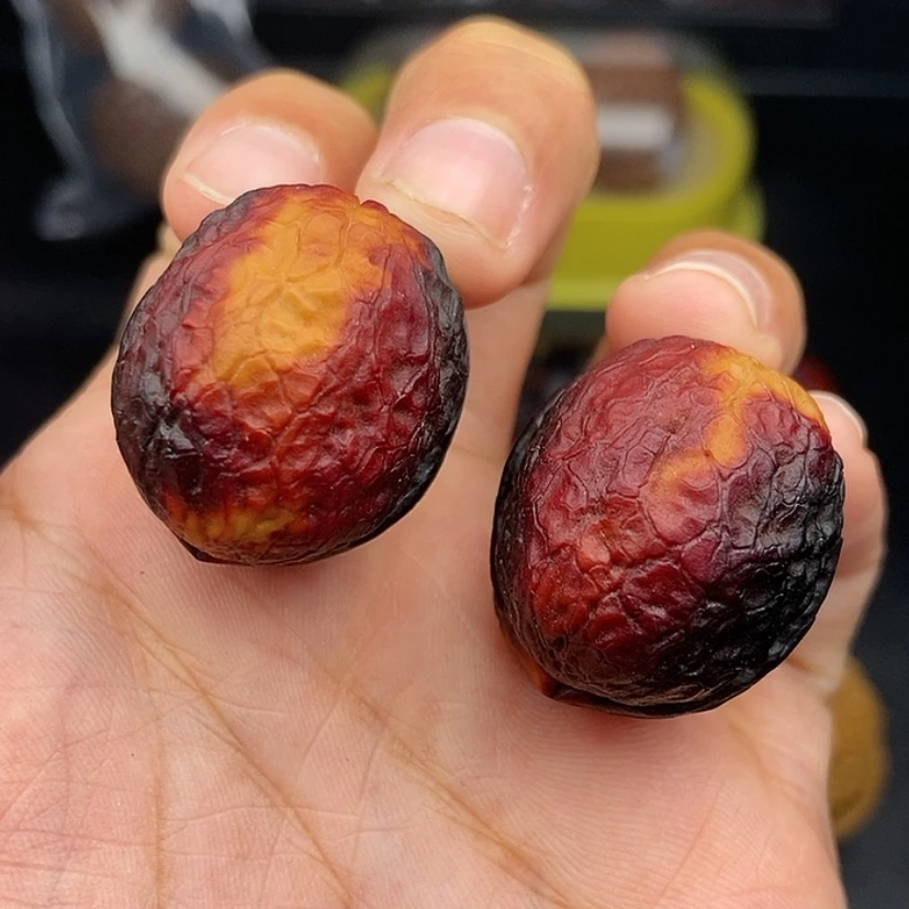 【闪购商品】把件文玩核桃28尺鸽子蛋