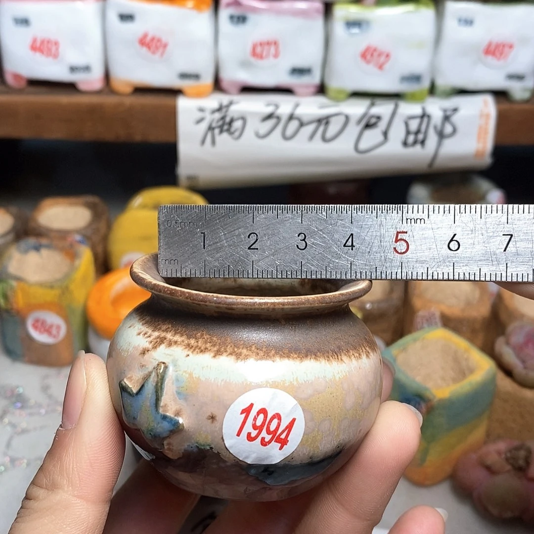 红陶拍5送一个小