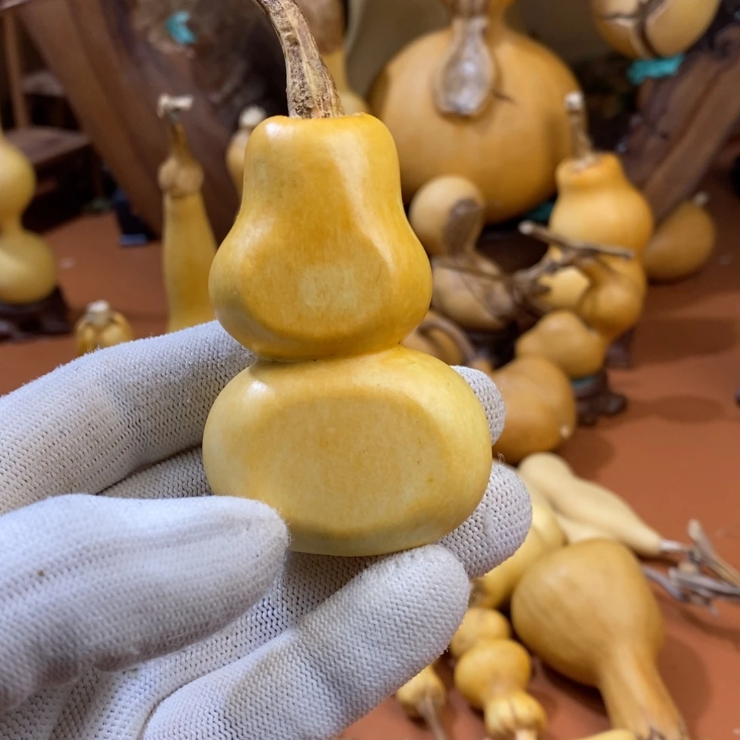 王***珠，教练教练教练教练