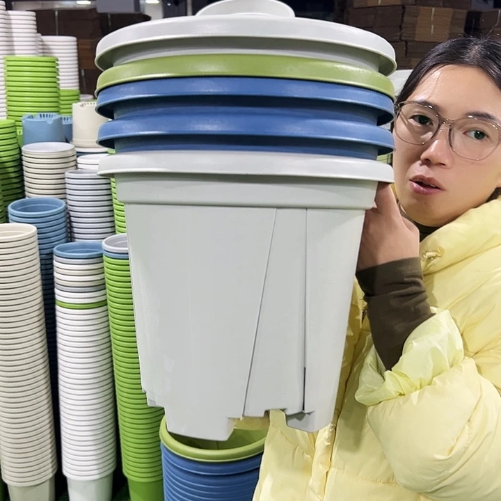 正品青山口32高28灰白色无托5只
