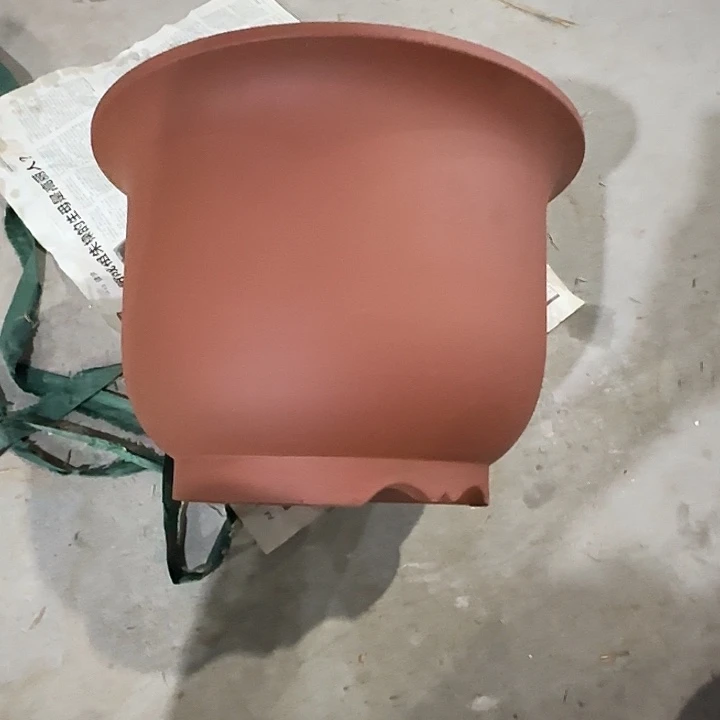 大***肖35×25两只微瑕大号