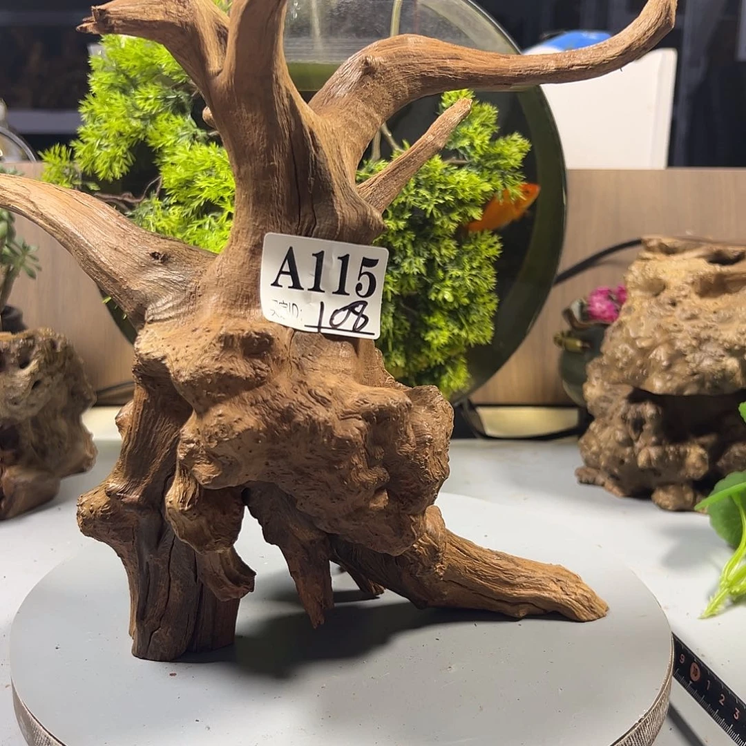 大果紫檀（缅甸花梨）北****姐