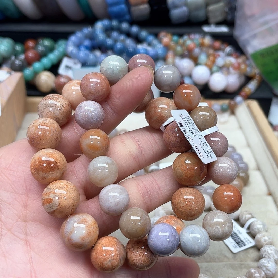 硅化珊瑚（珊瑚玉）手链未镶嵌绍**贝531