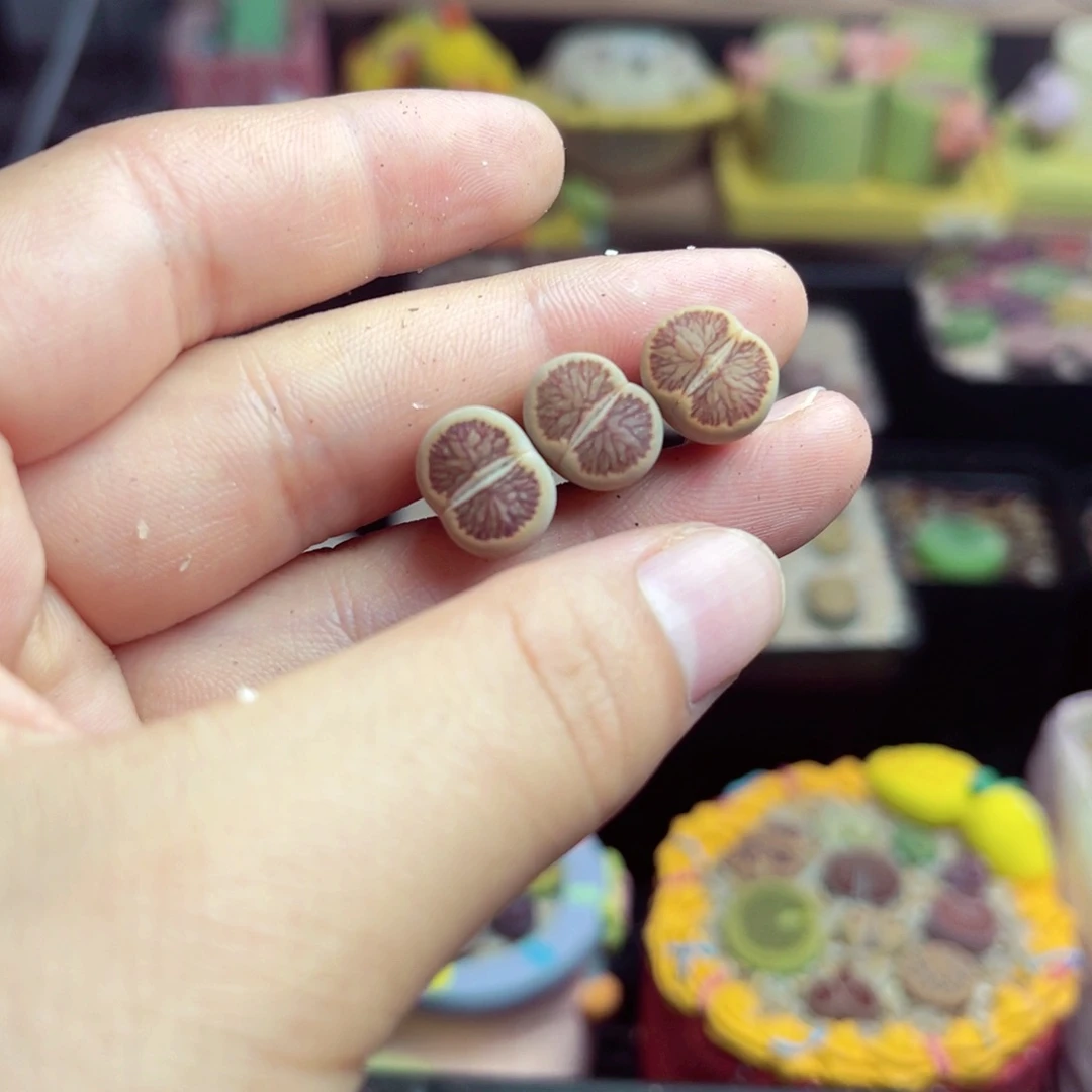 宝****店83号带盆包邮发货