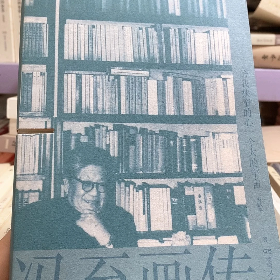 瑕疵锯口   冯至画传