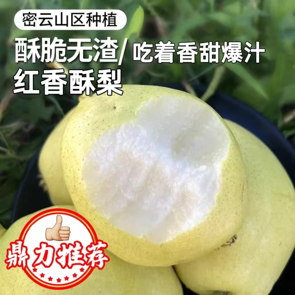密云红香酥梨礼盒装北京市