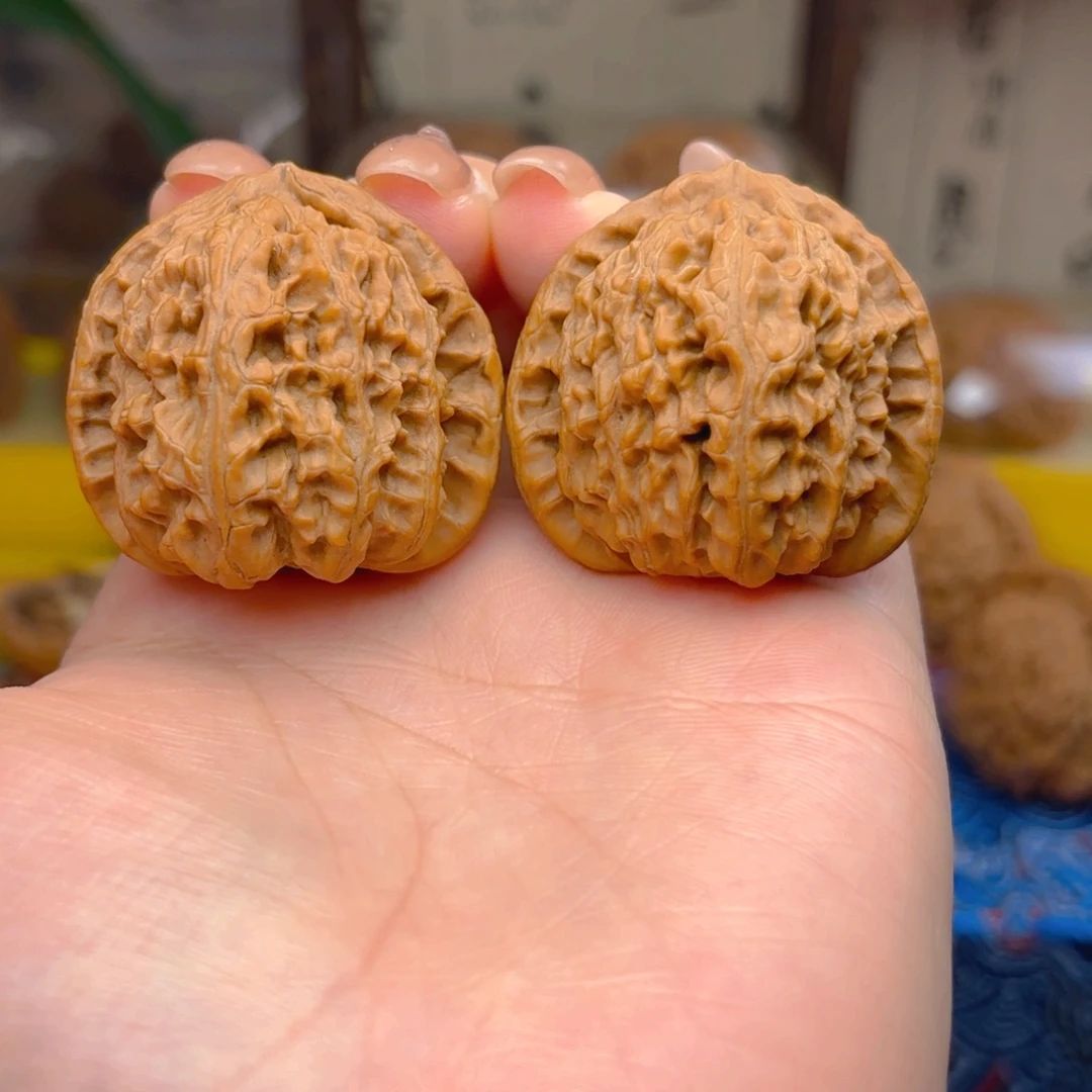 L***n白狮子头三十七尺