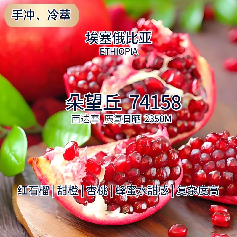 埃塞朵望丘厌氧日晒西达摩红石榴甜橙手冲精品咖啡豆新鲜烘焙直火