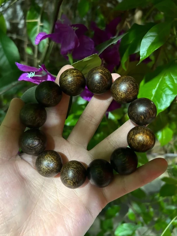 【土特产菇100】净含量40g起