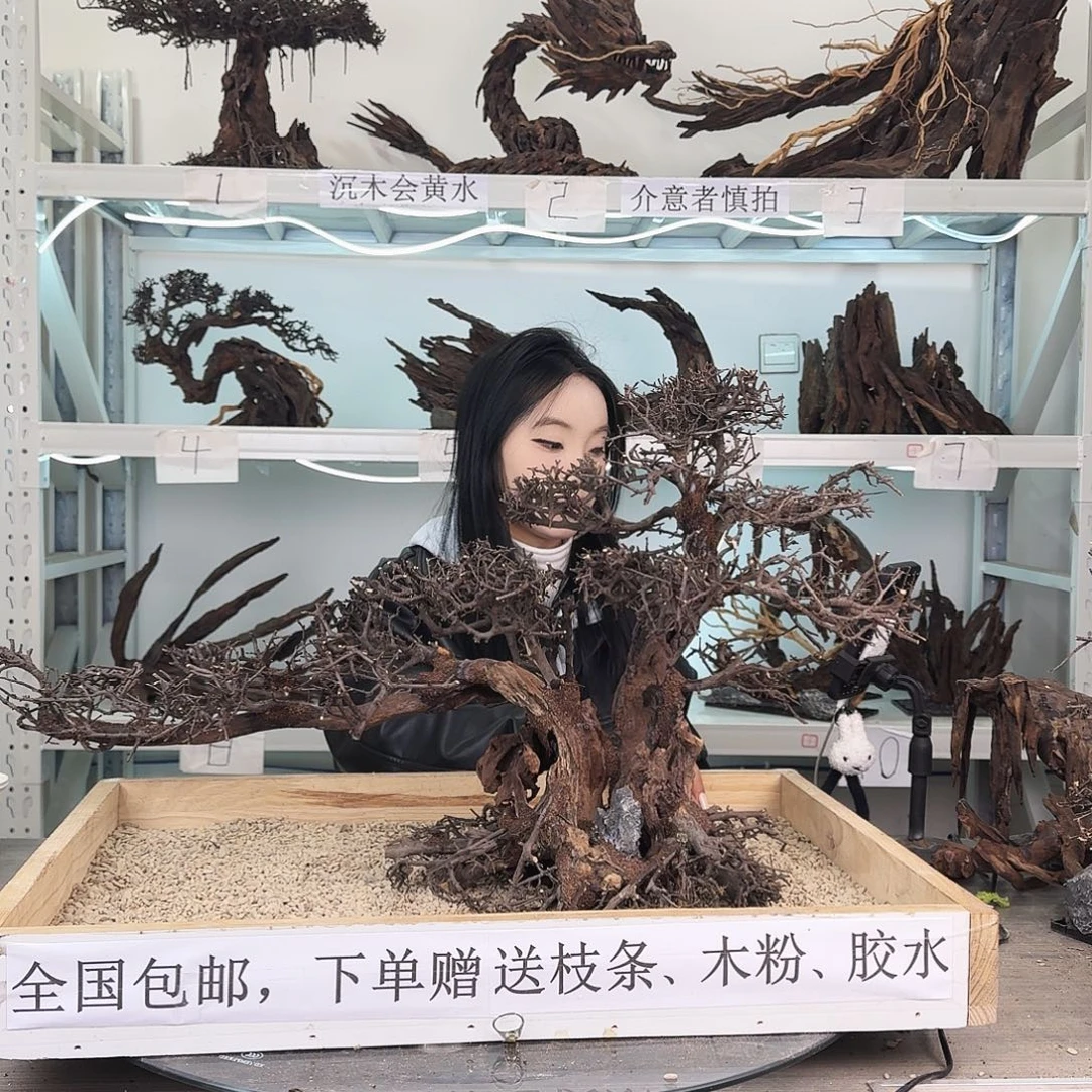甲***理沉木造景沉木造景