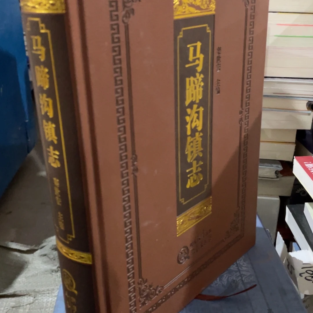 马蹄沟镇志精装书籍