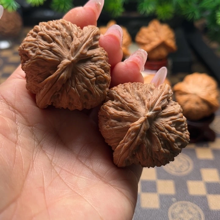 核桃43白狮子文玩