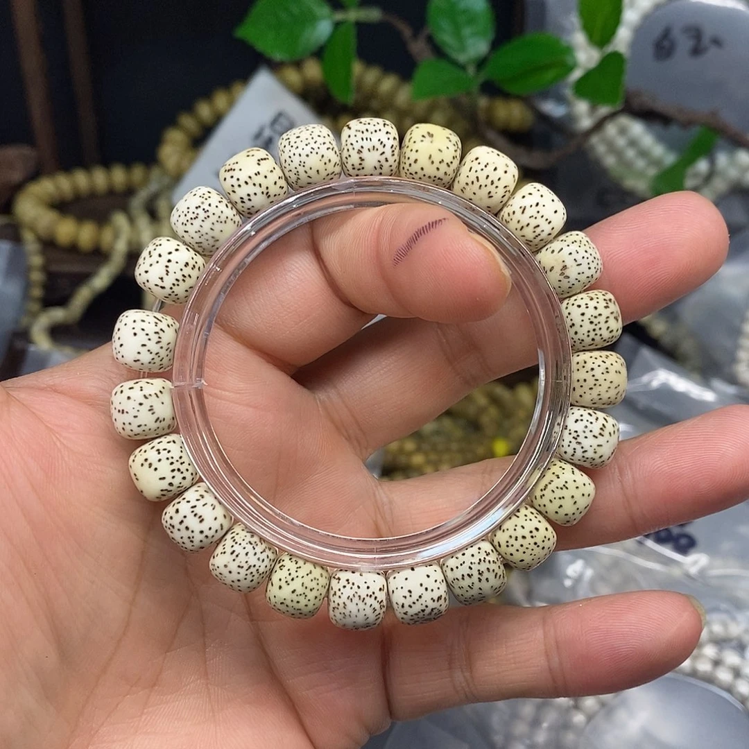 星月菩提手串10.9原生态单圈