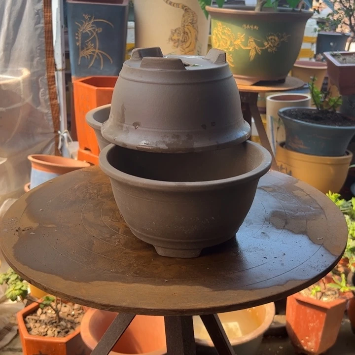 20碗盆3个花盆花盆花盆