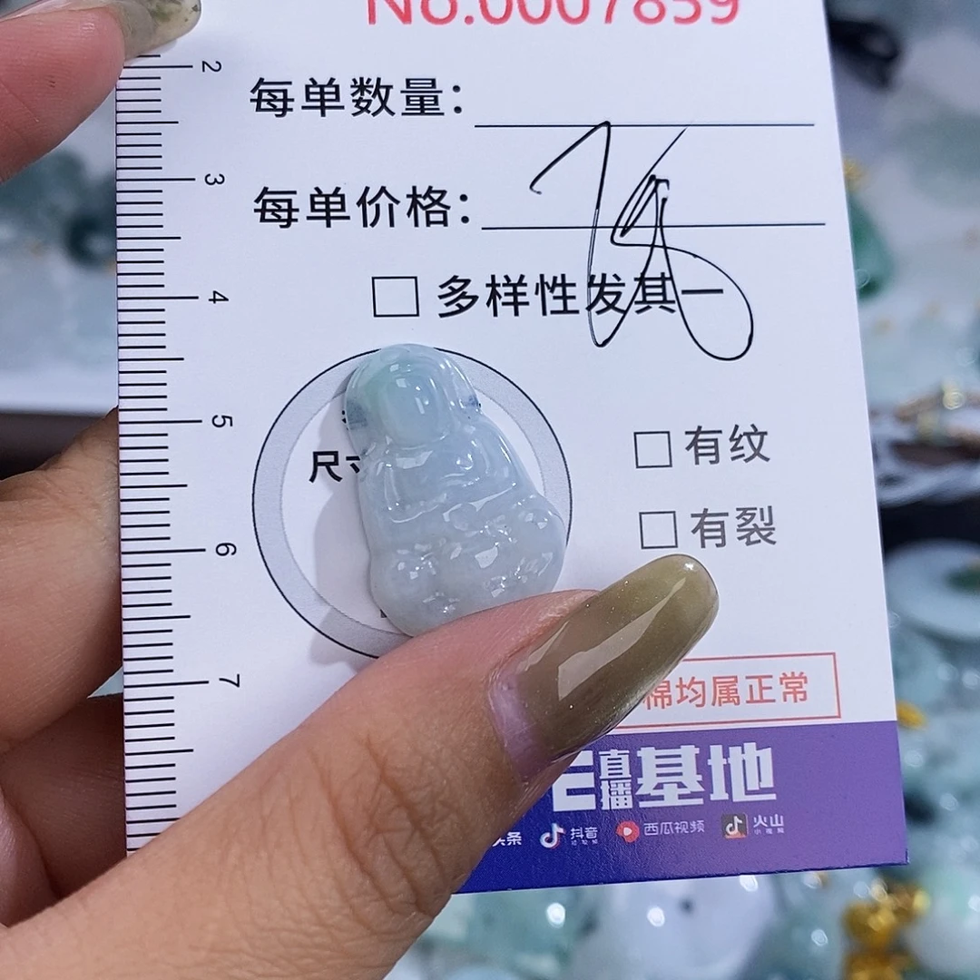 翡翠未镶嵌颈饰7859