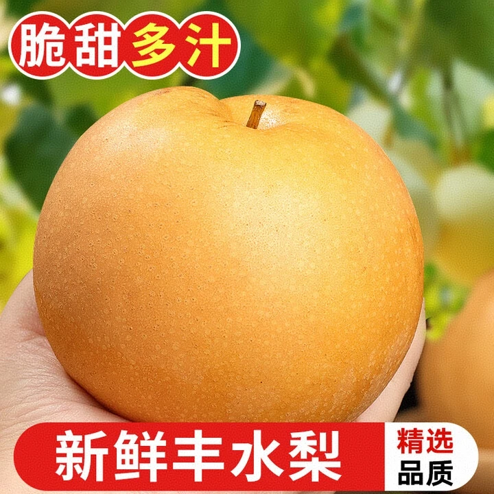 【超脆甜】新鲜丰水梨当季现摘现发黄皮甜梨脆梨