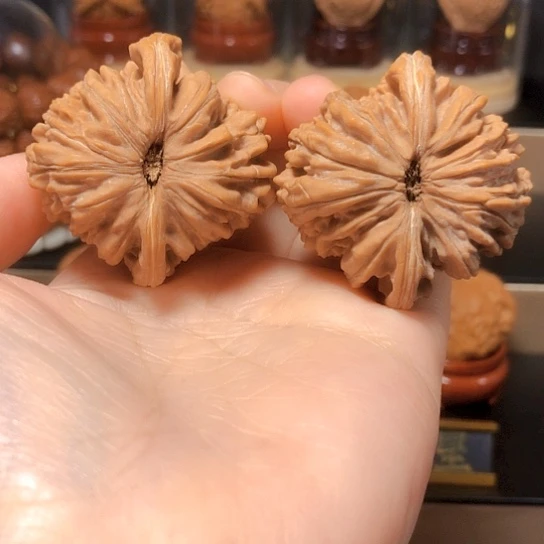 精品：山地四座楼